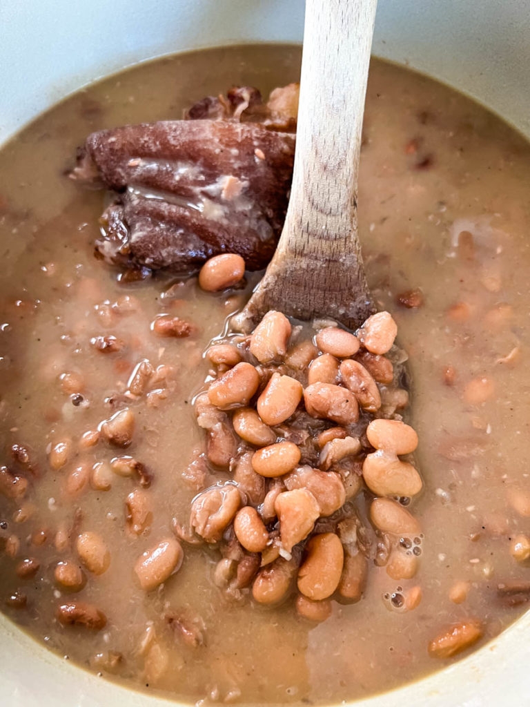 southern pinto beans recipe