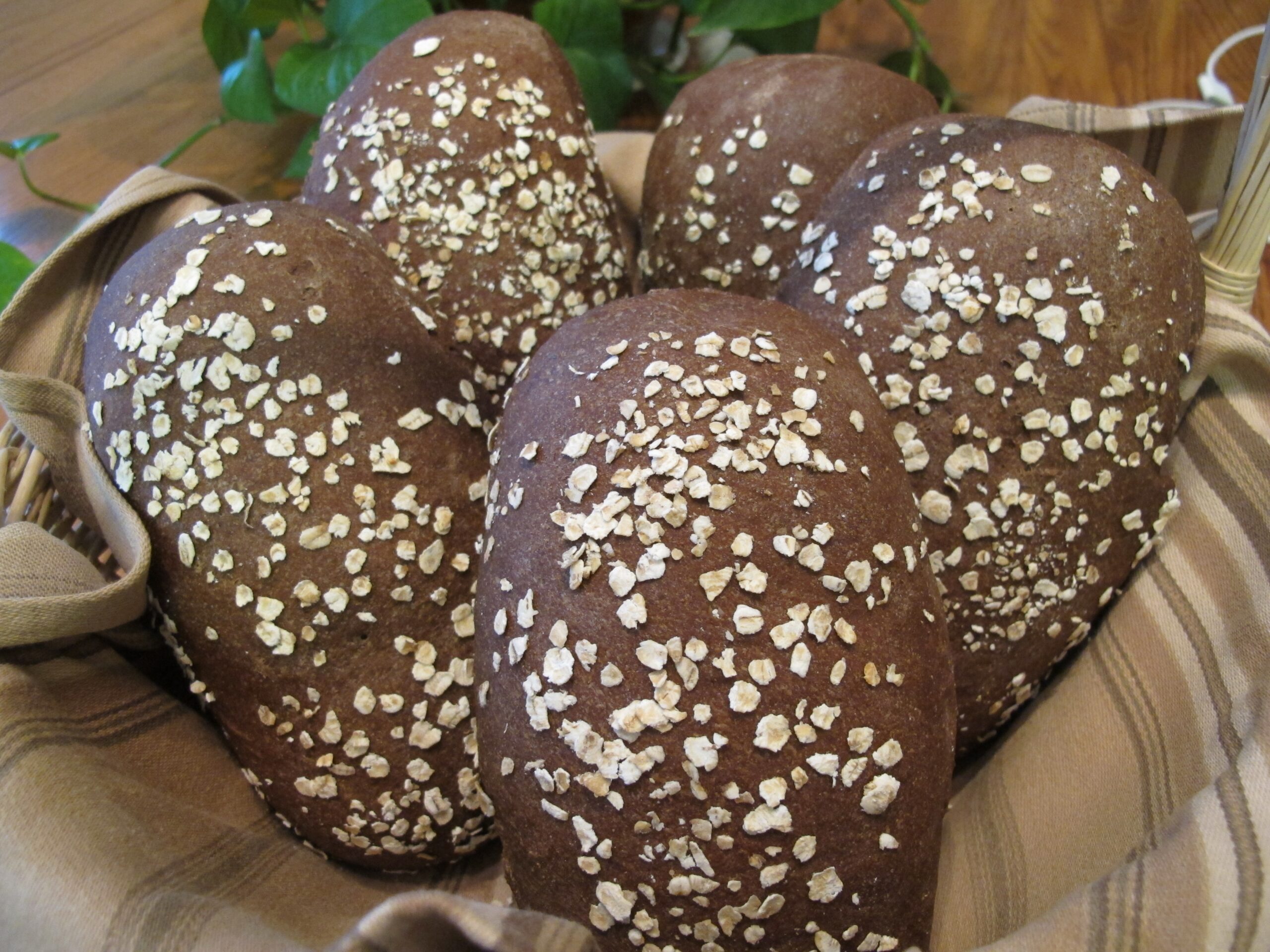 Squaw Bread No Meals On Wheels Squaw Bread No Meals On Wheels