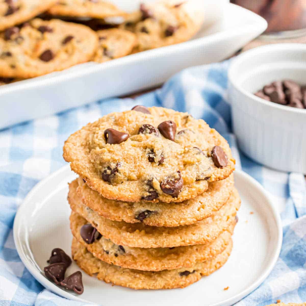 Sugar Free Chocolate Chip Cookies Sugar Free Chocolate Chip Cookies
