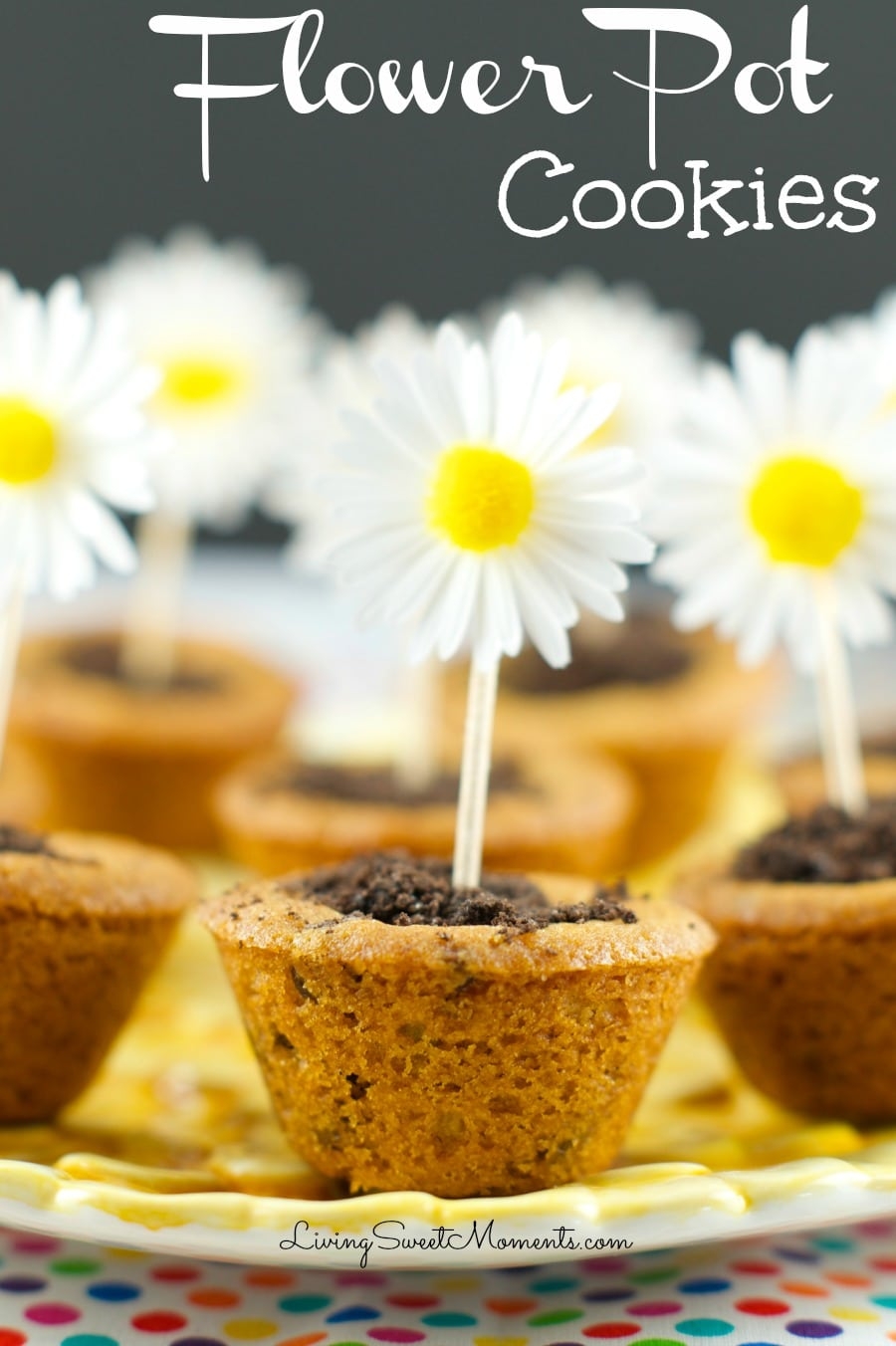 Super Cute Flower Pot Cookies Living Sweet Moments Super Cute Flower Pot Cookies Living Sweet Moments