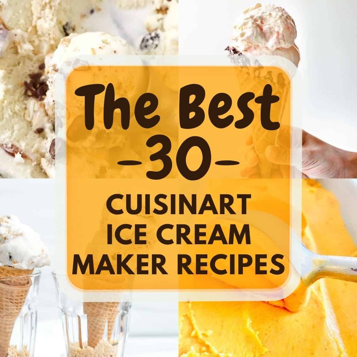 The BEST 30 Cuisinart Ice Cream Maker Recipes Bites With Bri The BEST 30 Cuisinart Ice Cream Maker Recipes Bites With Bri