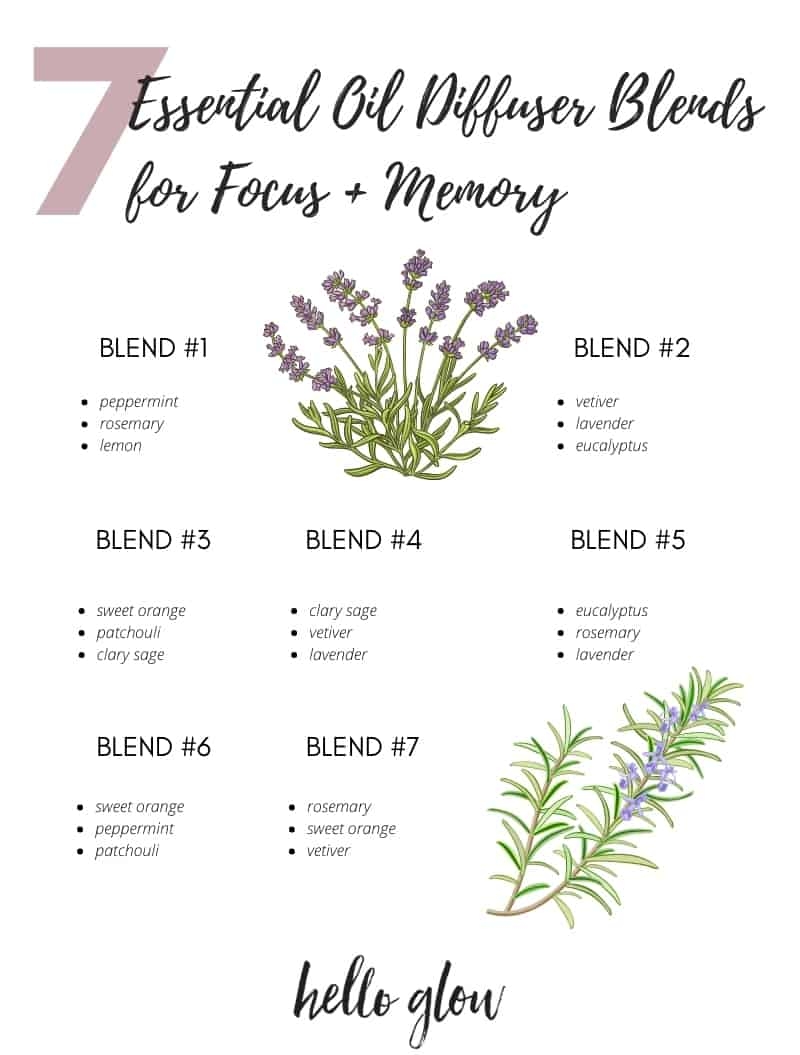 The Best Essential Oils For Focus 7 Diffuser Blends Hello Glow The Best Essential Oils For Focus 7 Diffuser Blends Hello Glow