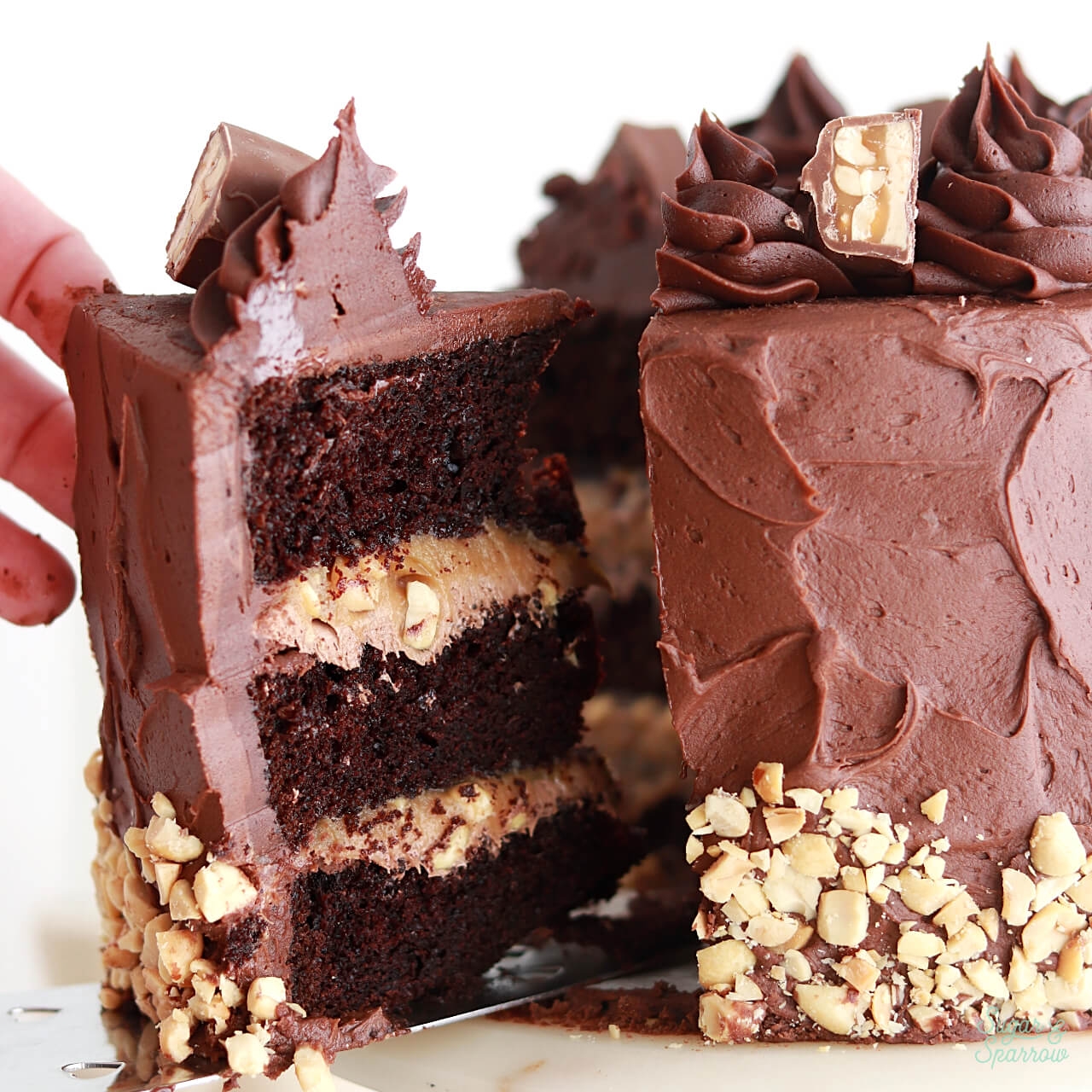 The Ultimate Snickers Cake Sugar Sparrow