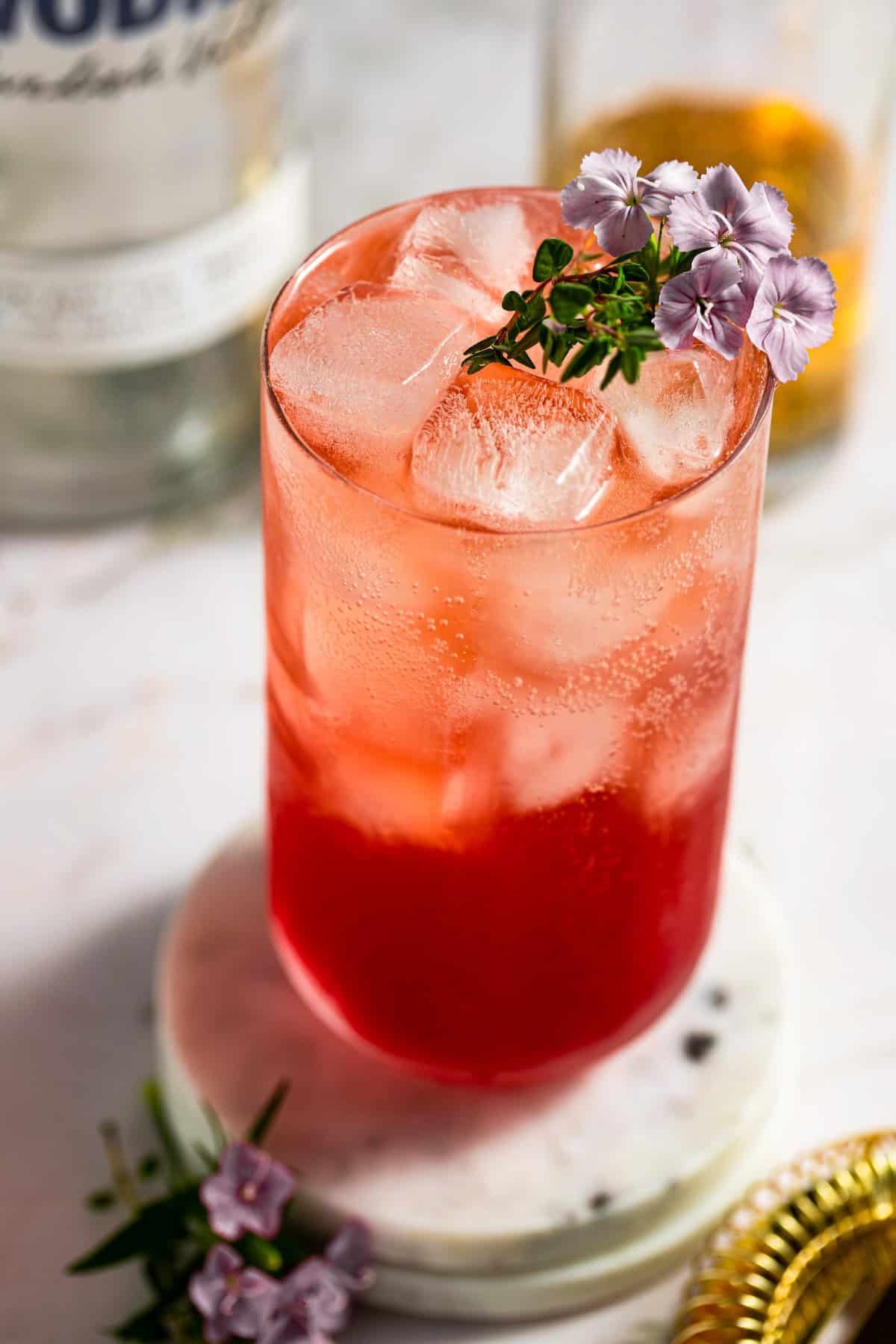 Transfusion Drink The Novice Chef
