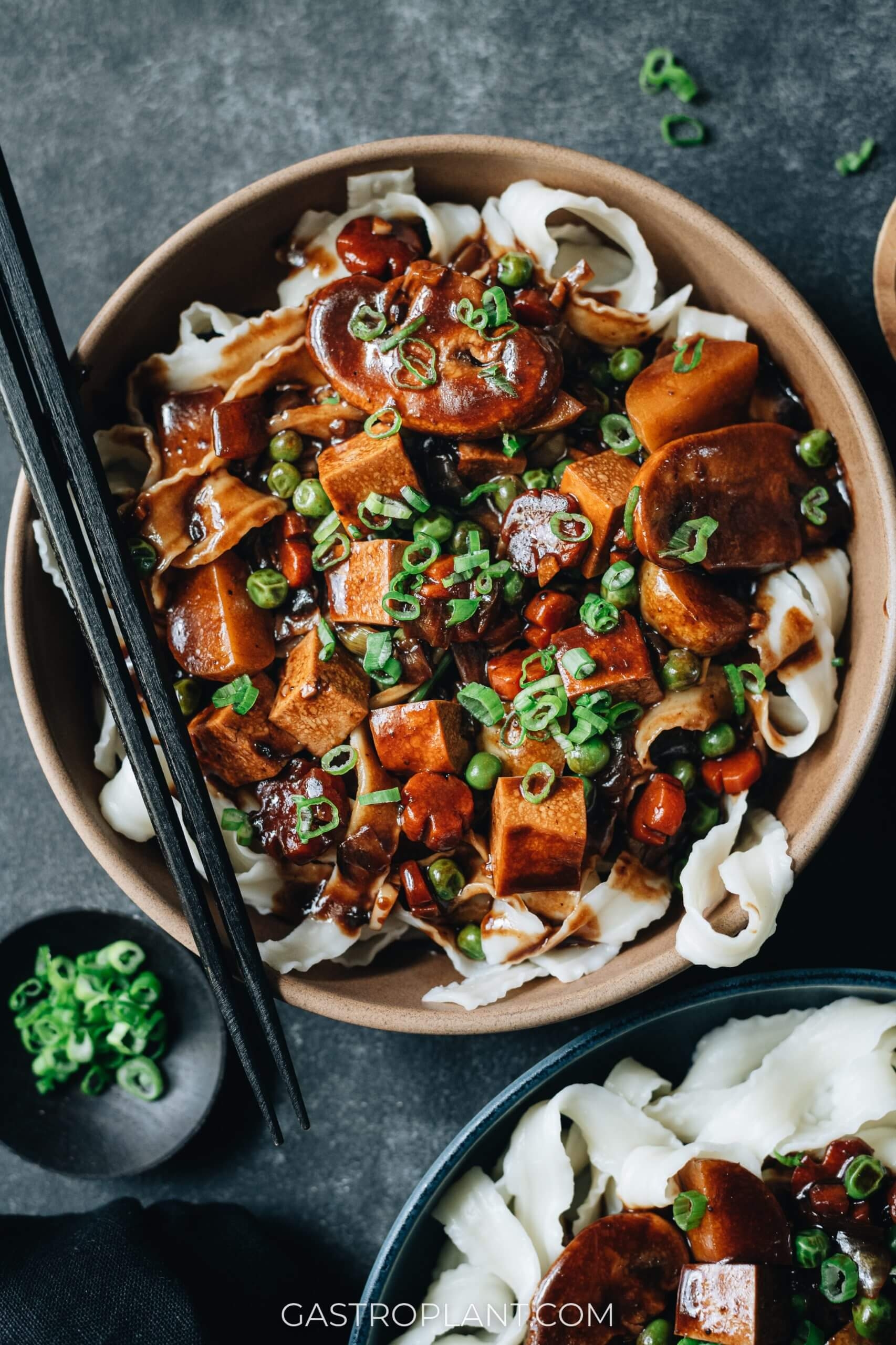 Vegan Jajangmyeon Korean Black Bean Sauce Noodles Gastroplant
