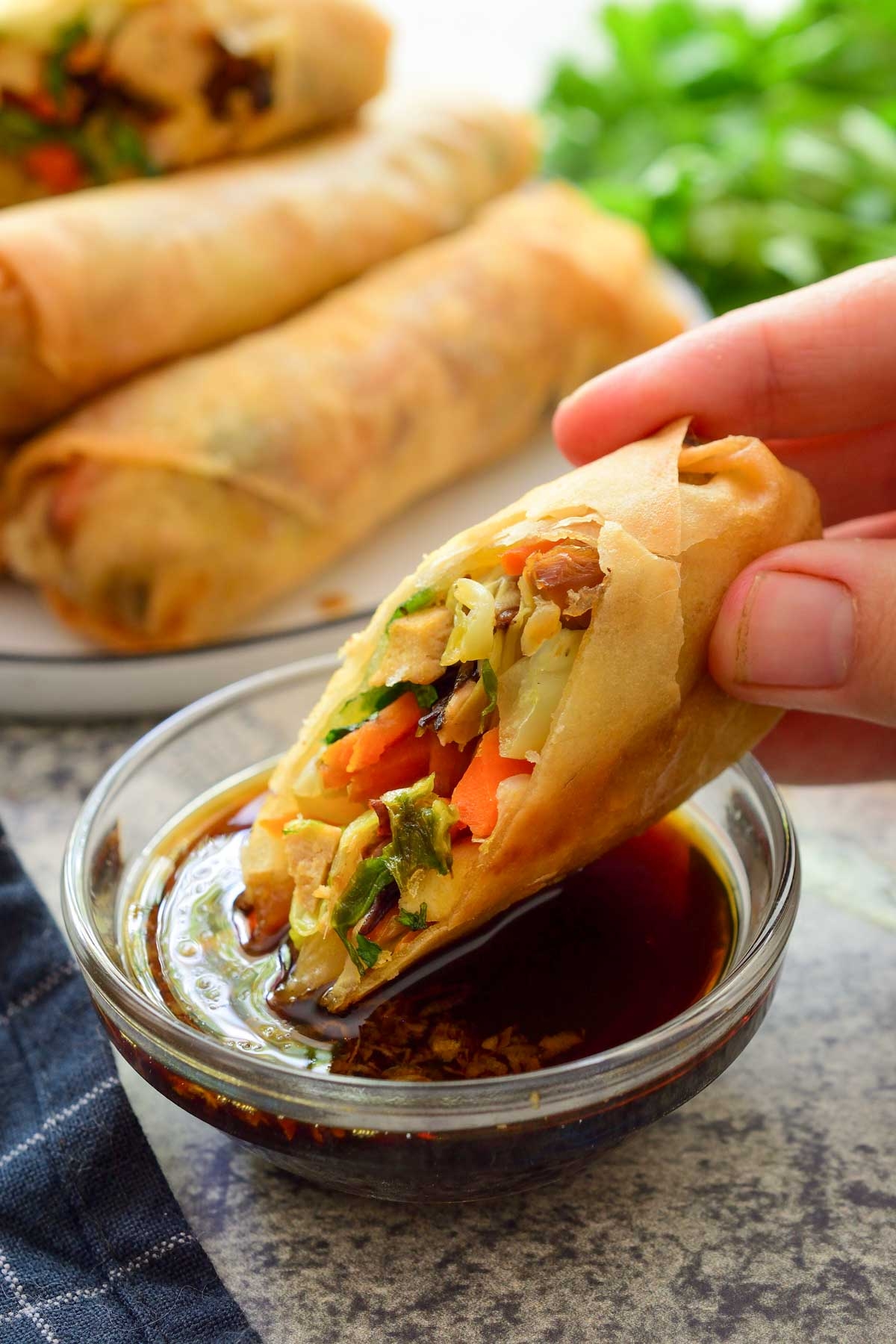Vegetable Spring Rolls Cilantro And Citronella