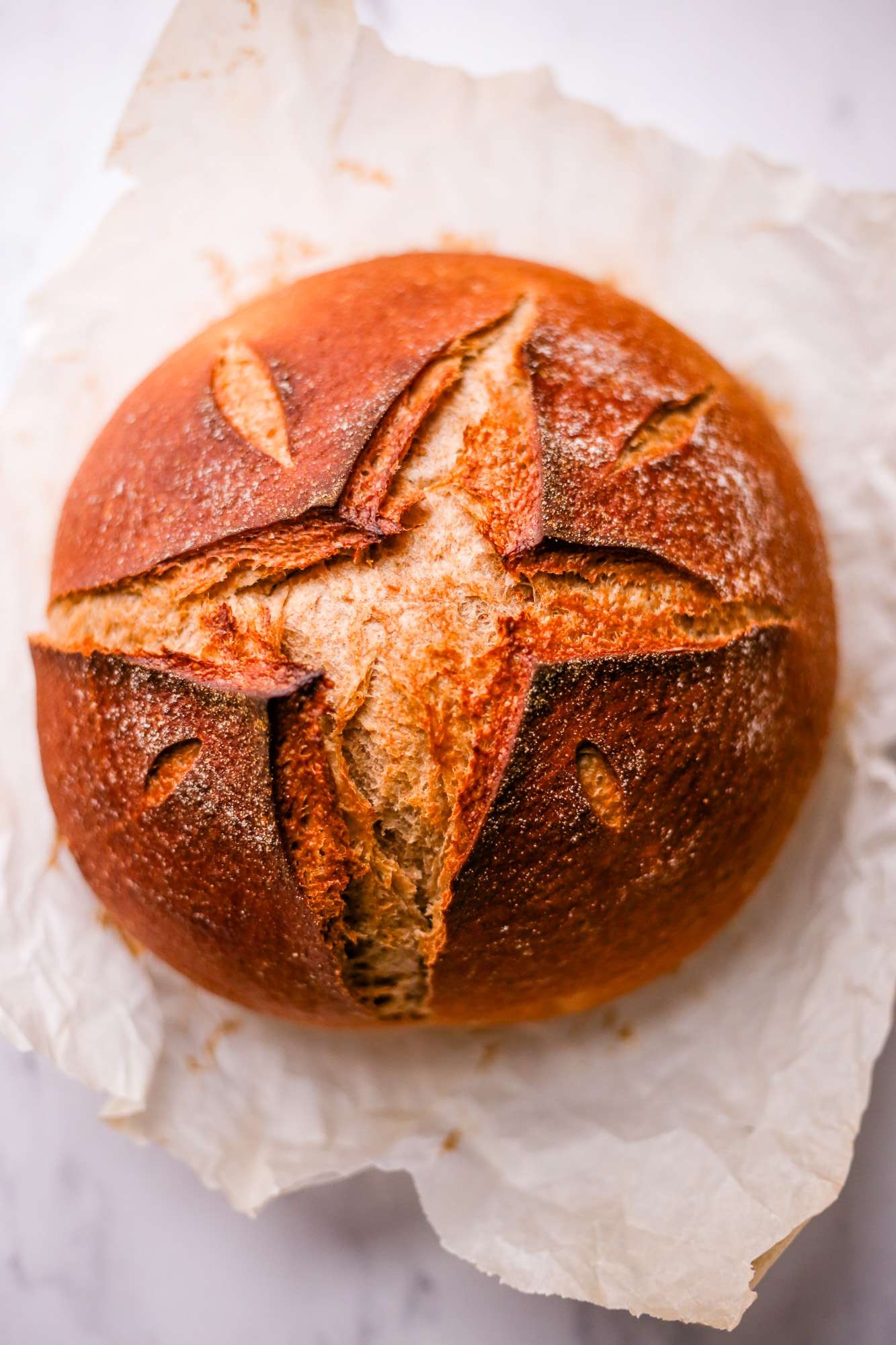 Whole Wheat Sourdough Bread Recipe Without Starter